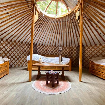 Les Yourtes Du Bearn - Domaine Des Deux Clos Bed & Breakfast Pontiacq-Viellepinte Ngoại thất bức ảnh