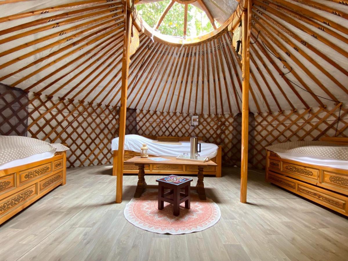 Les Yourtes Du Bearn - Domaine Des Deux Clos Bed & Breakfast Pontiacq-Viellepinte Ngoại thất bức ảnh