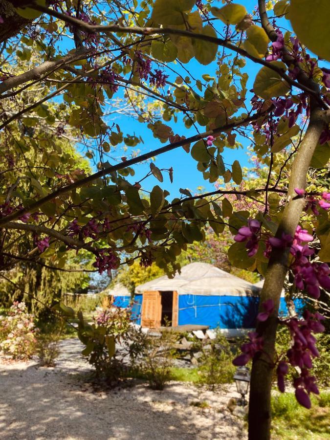 Les Yourtes Du Bearn - Domaine Des Deux Clos Bed & Breakfast Pontiacq-Viellepinte Ngoại thất bức ảnh